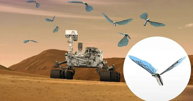 Robot bees 'Marsbees': Tiny army of explorers conquering Mars