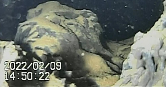 Robot captures molten radioactive fuel in Fukushima