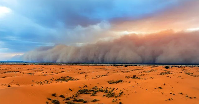 Saharan dust is important for ecological protection and climate change