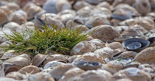 Scary warning when the dinosaur-era 'green continent' is about to rise again