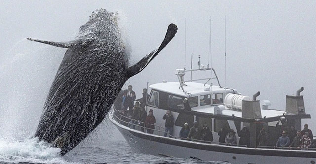 Scenes that seem to only exist in science fiction movies appear at sea, shocking netizens