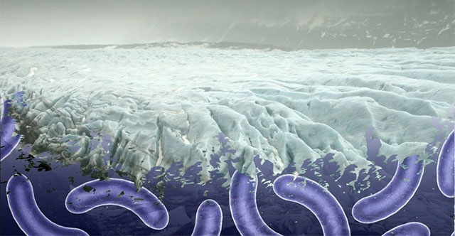 Science awakens 48,500-year-old 'sleeping' virus for surprising reason