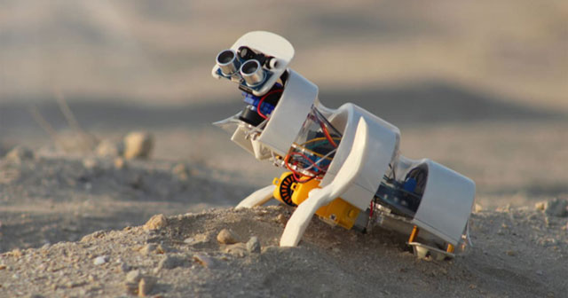 Scientists develop robot that automatically sows seeds in the desert
