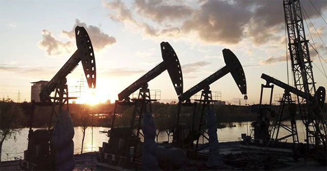 Scientists discover bacteria that break down crude oil