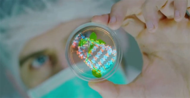 Scientists find traces of modification in DNA: Are humans products of 'design'?