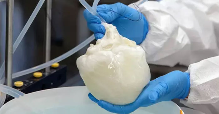 Scientists grow hearts to transplant to humans