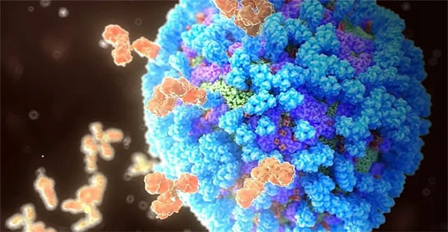 Scientists have just discovered the secret of the flu virus