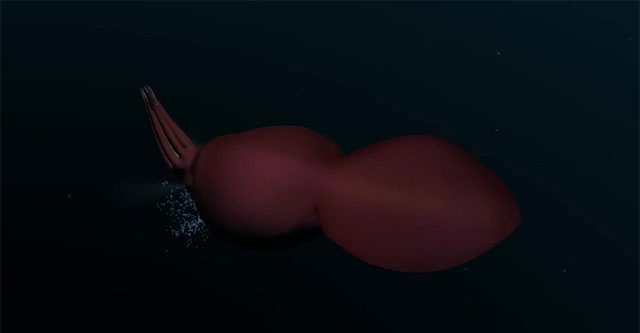 Scientists hunt 500kg giant squid by cruise ship