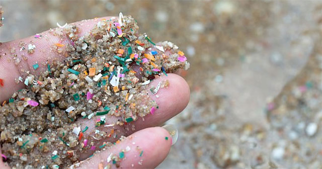 Scientists make safe plastic from plants
