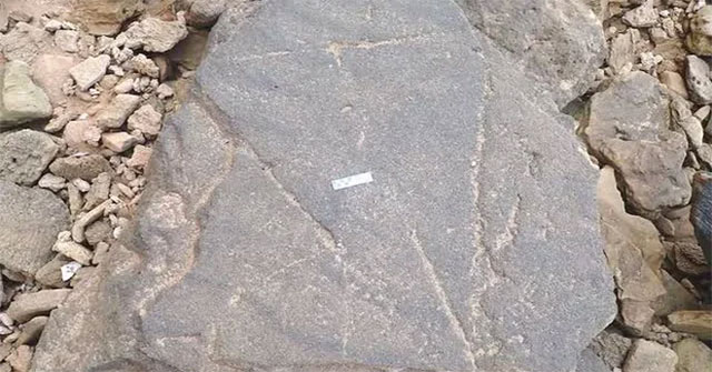 Scientists rescue half-ton 'evidence of human civilization' at the southern tip of the Black Continent