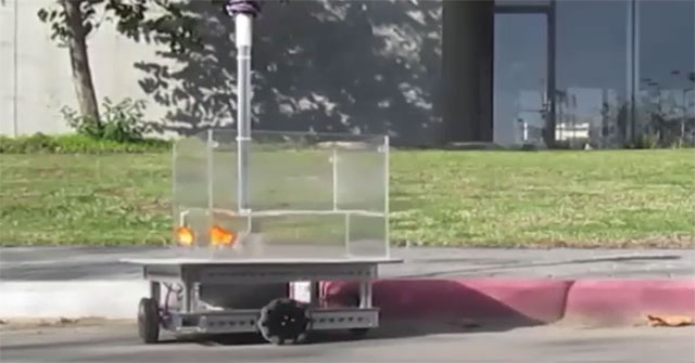 Scientists train goldfish to 'drive' to get food