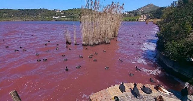 Sea water suddenly turns red around the super volcano