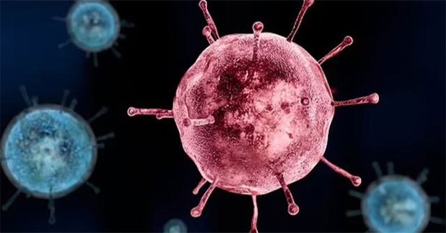 Seasonal flu virus is a descendant of the 'killer' that killed 100 million people?