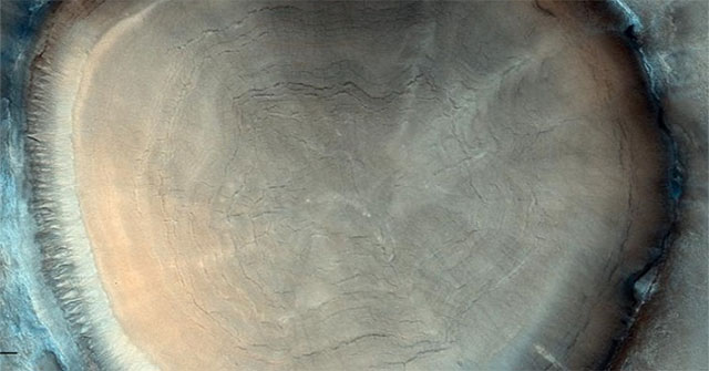 Shock images: Spaceship captures... tree stumps on another planet?