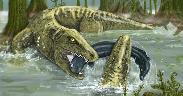 Shocking Fact: Our Beastly Ancestors Were Scarier Than Tyrannosaurus Rex