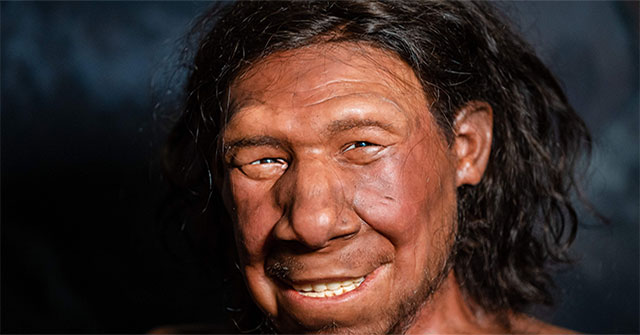 Shocking Research: If You Have This Beauty, You May Have DNA From Another Species