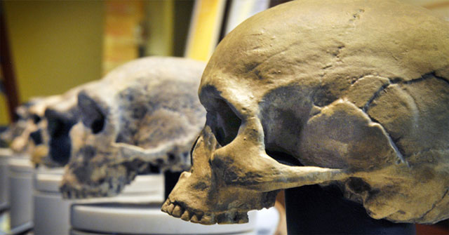 Shocking research shows that: 3,000 years ago, the human brain shrank