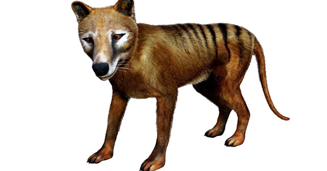 Should extinct animals be revived?