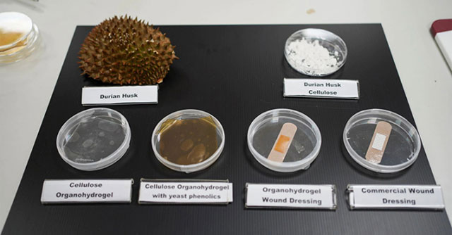 Singapore turns durian peels into medical bandages