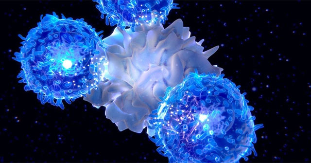 Social stress causes premature aging of the immune system