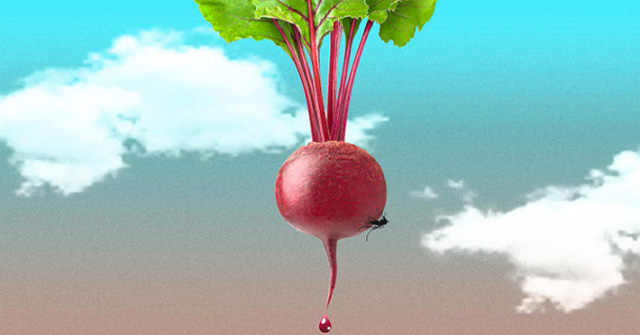 Solution to kill disease-causing mosquitoes with sweet radish
