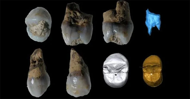 Spain discovers teeth of 3 people who are not of our species