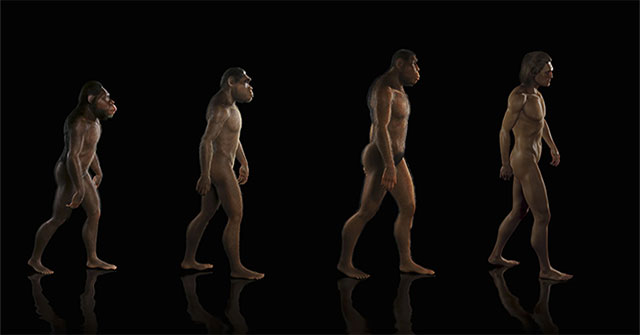 Special mechanisms in human evolution suggest the intervention of external intelligence!