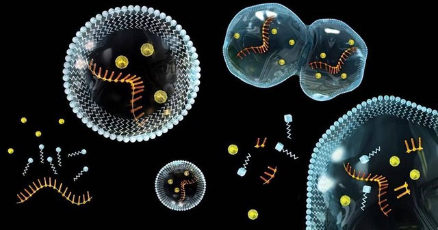 Specimen 340 million km from Earth reveals mysteries about the origin of life