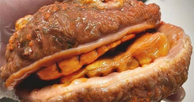Strange fish with teeth and like a burger appeared in Russia