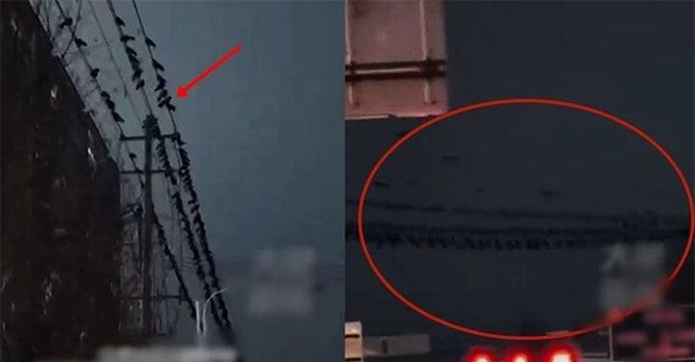 Strange phenomenon before earthquake kills 118 people in China