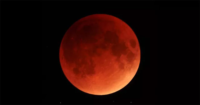 Strange phenomenon: Blood moon makes a series of creatures 'free fall'