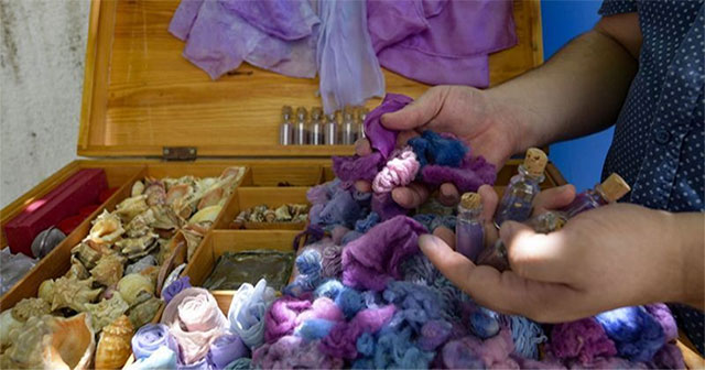 Strange purple dye 'more expensive than gold' from sea snails