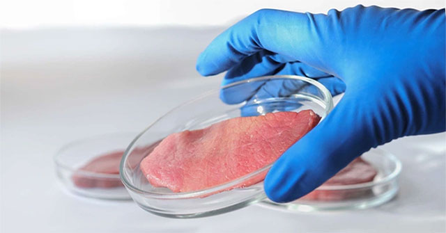Strangely, tobacco makes it less expensive to produce artificial meat