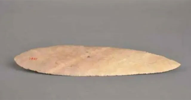 Student picks up leaf, archaeologist declares 'this is a priceless treasure'