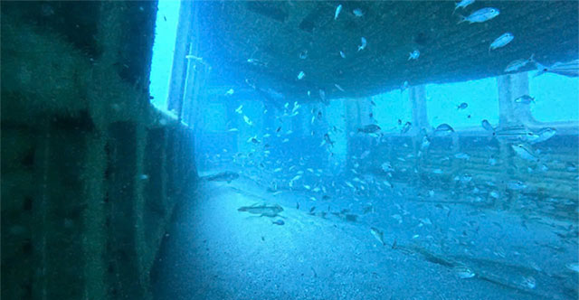 Subway Car Turned Into a Home for Marine Creatures