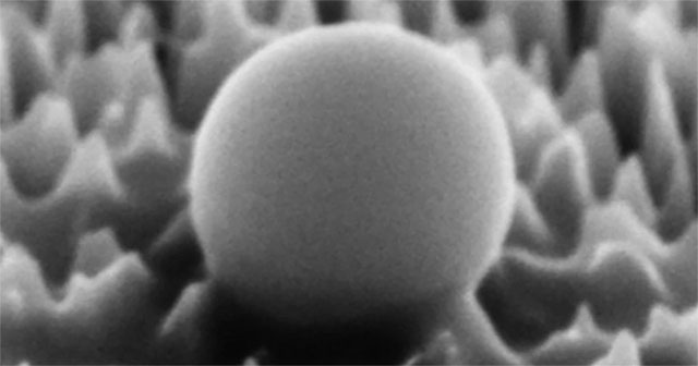 Successfully created an 'armor' layer that eliminated 96% of viruses