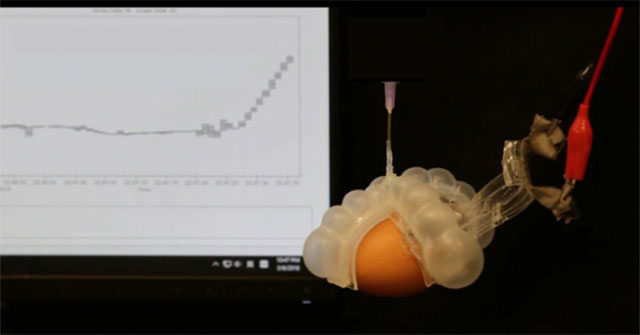 Successfully developed a 10 millisecond response stretch thermometer