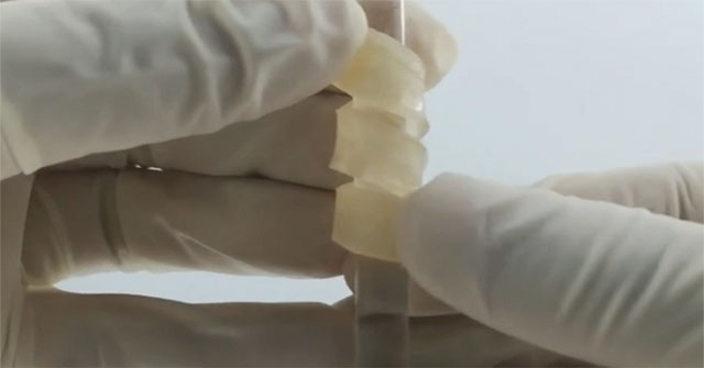 Successfully developed a composite material from super durable wood