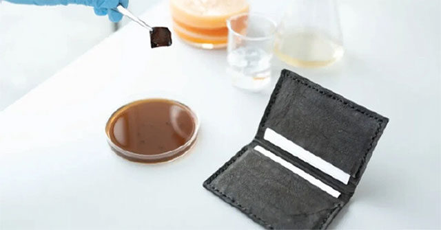 Successfully made shoes and leather wallets from... bacteria