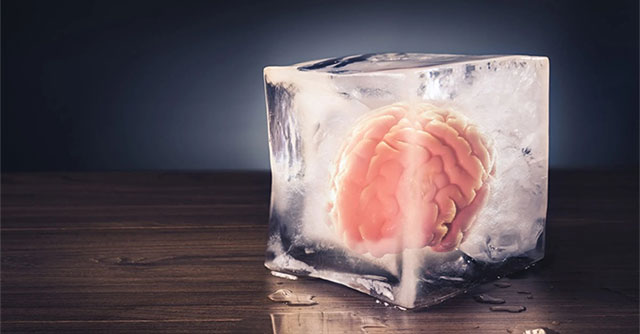 Successfully 'thawing' a frozen human brain for the first time