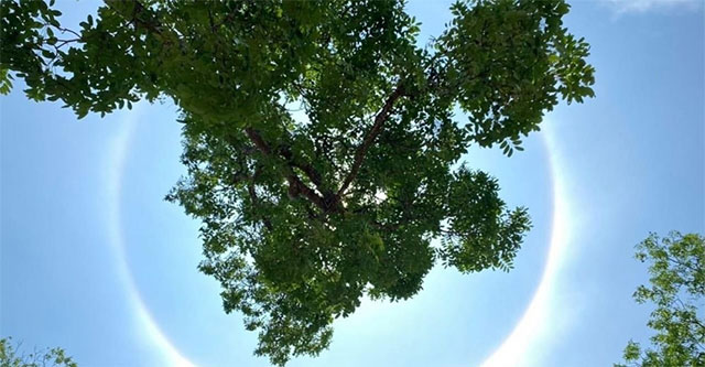 Sun halos appearing in some provinces: Can signal prolonged heat