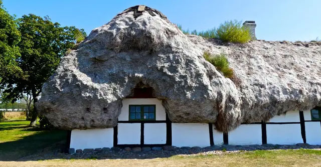 Super durable natural material, if spread on the roof, it won't rot for 300 years
