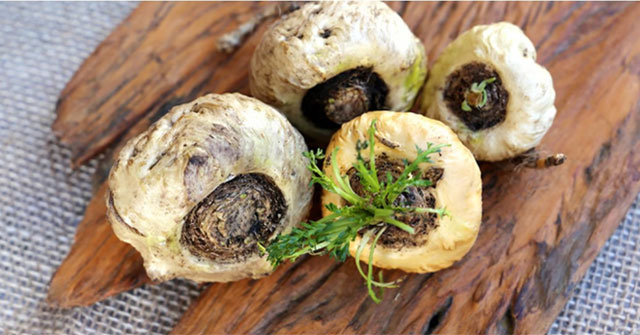 Superfood likened to ginseng, little known but extremely good for sex