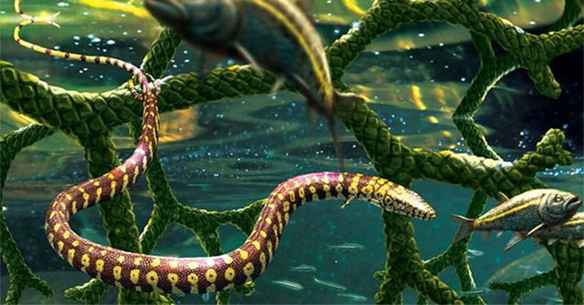 Surprise with the 'four-legged snake' that appeared 110 million years ago