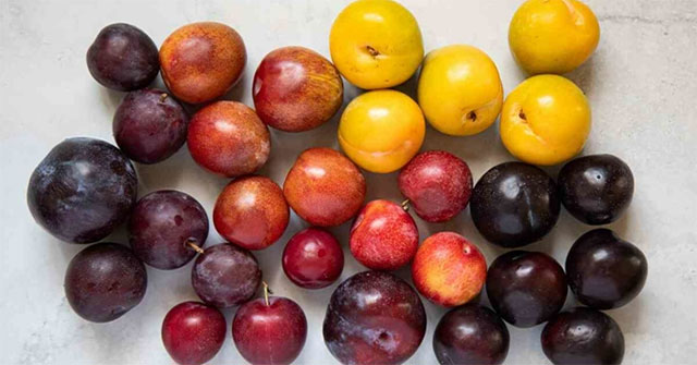 Surprise with the health benefits of plums