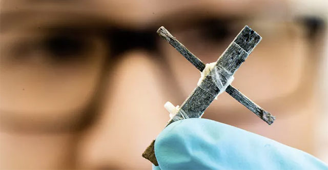 Sweden successfully developed the world's first wooden transistor