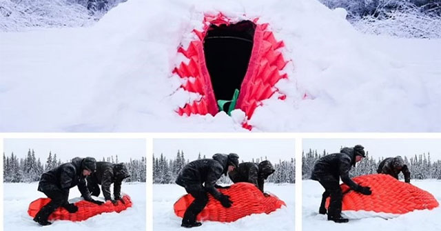 Take inspiration from polar bears to create a one-of-a-kind shelter