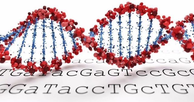Technology helps diagnose genetic diseases in hours