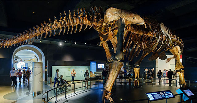 Terrifying specimen reveals origin of 'beast planet'