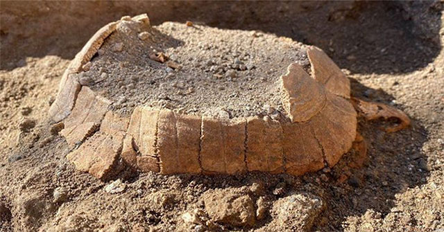 The 2,000-year-old creature intact and stunned in the petrified city